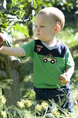 mason11