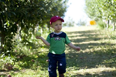 mason12