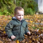 fall